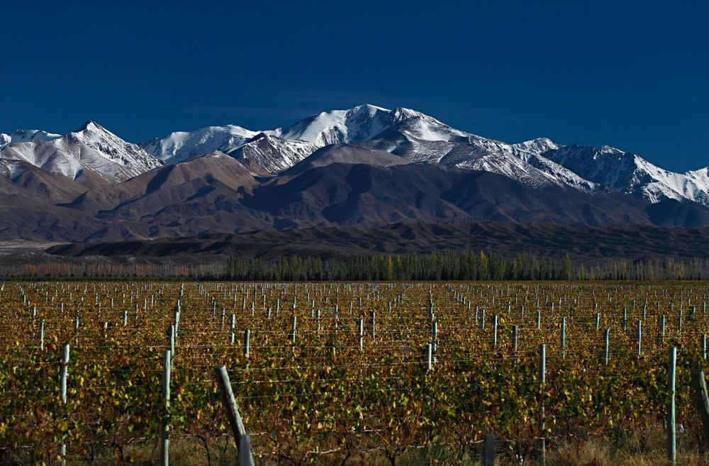 Mendoza