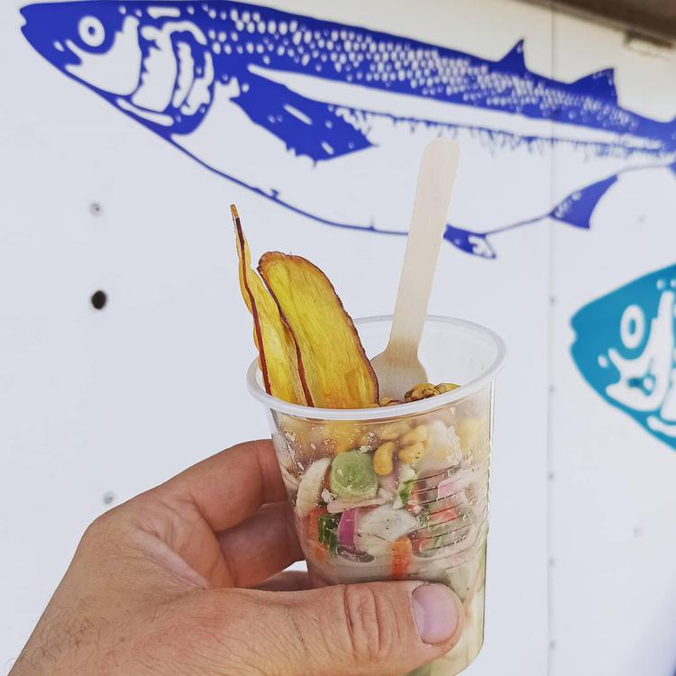 152996394_303586377785244_9130011944669347703_n