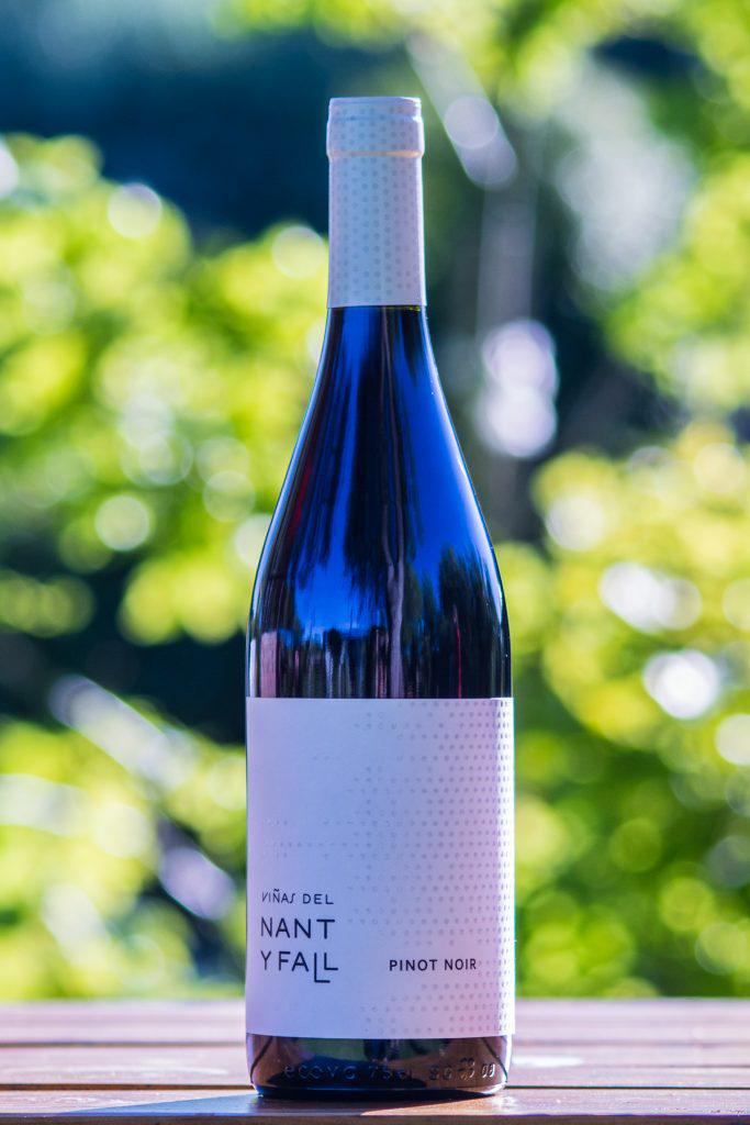 Viñas del Nant y Fall Pinot Noir