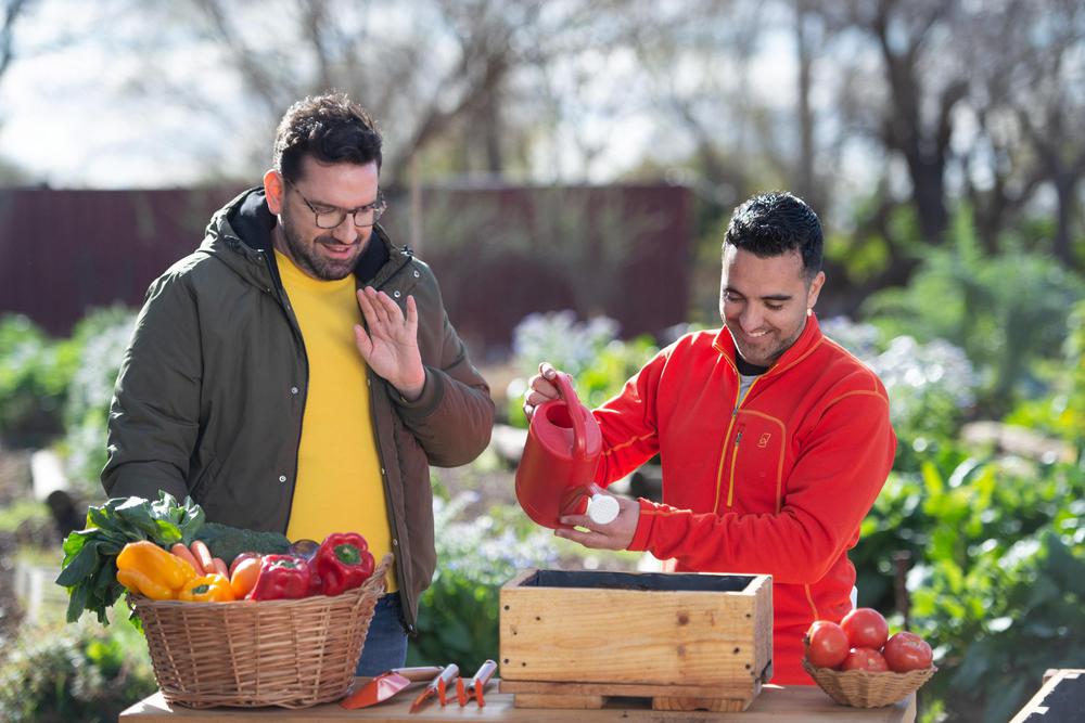 GPA Tomate Challenge (7)