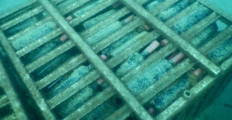 f768x400-76832_120735_31