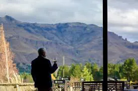 Vino a la montaña 3