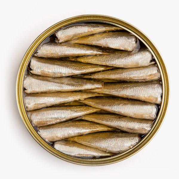 sardinas