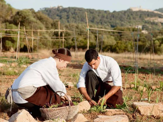 Huerta