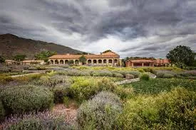 Bodega Colome