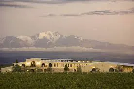 Bodega Piedra Negra