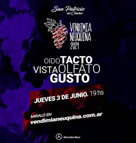 Vendimia Neuquén