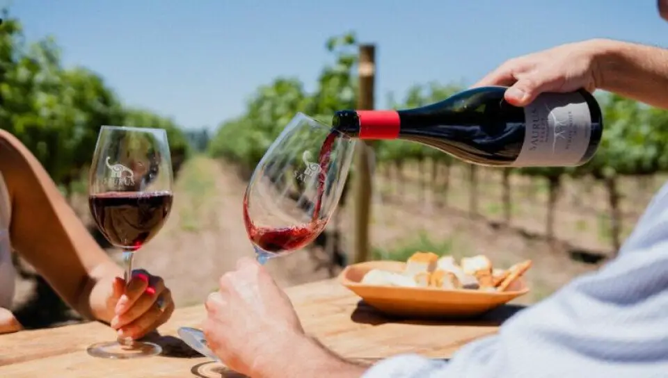 Pinot Noir Schroeder