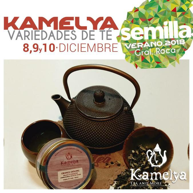 23472309_1428155867252523_3061738346004332722_n