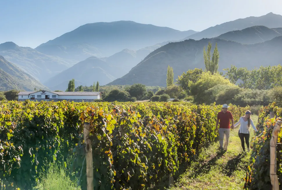 Ruta del Vino - Salta