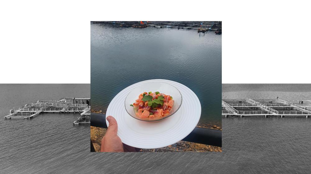 tartar