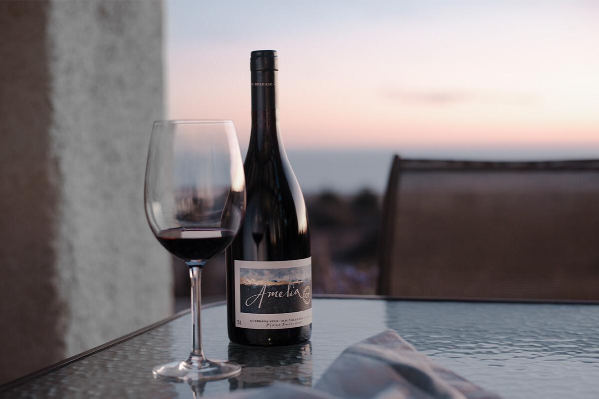 Pinot Noir