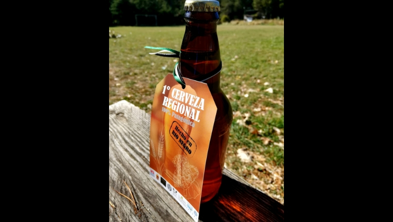 cerveza inta