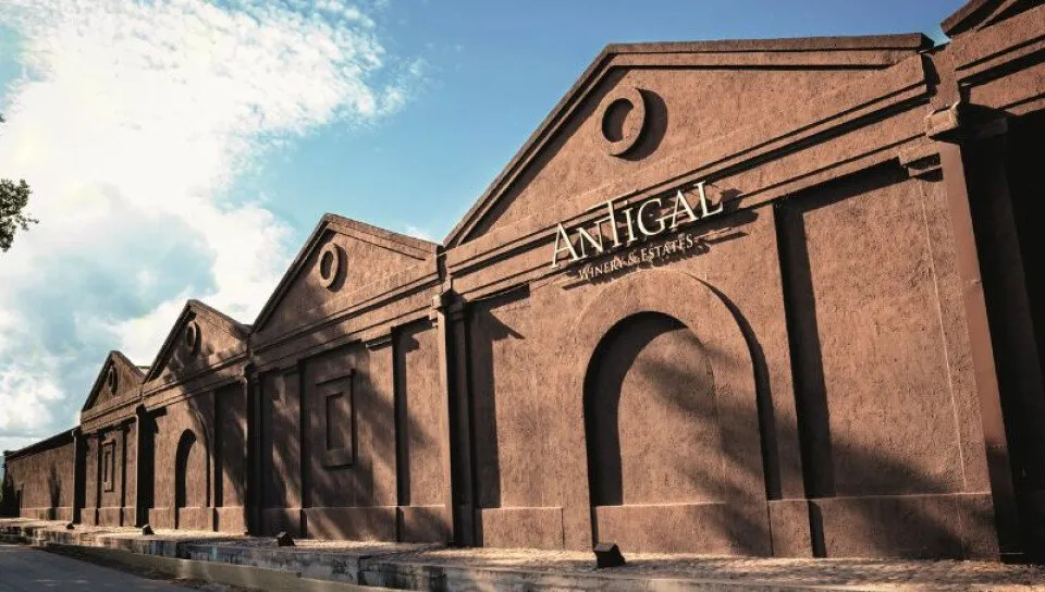 antigal-bodega-medium-size