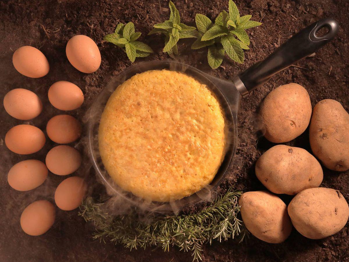 tortilla de betanzos