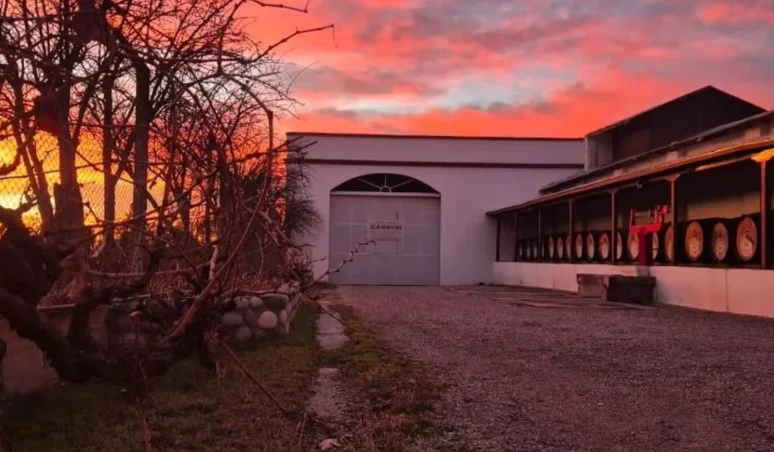 Bodega Cabrini