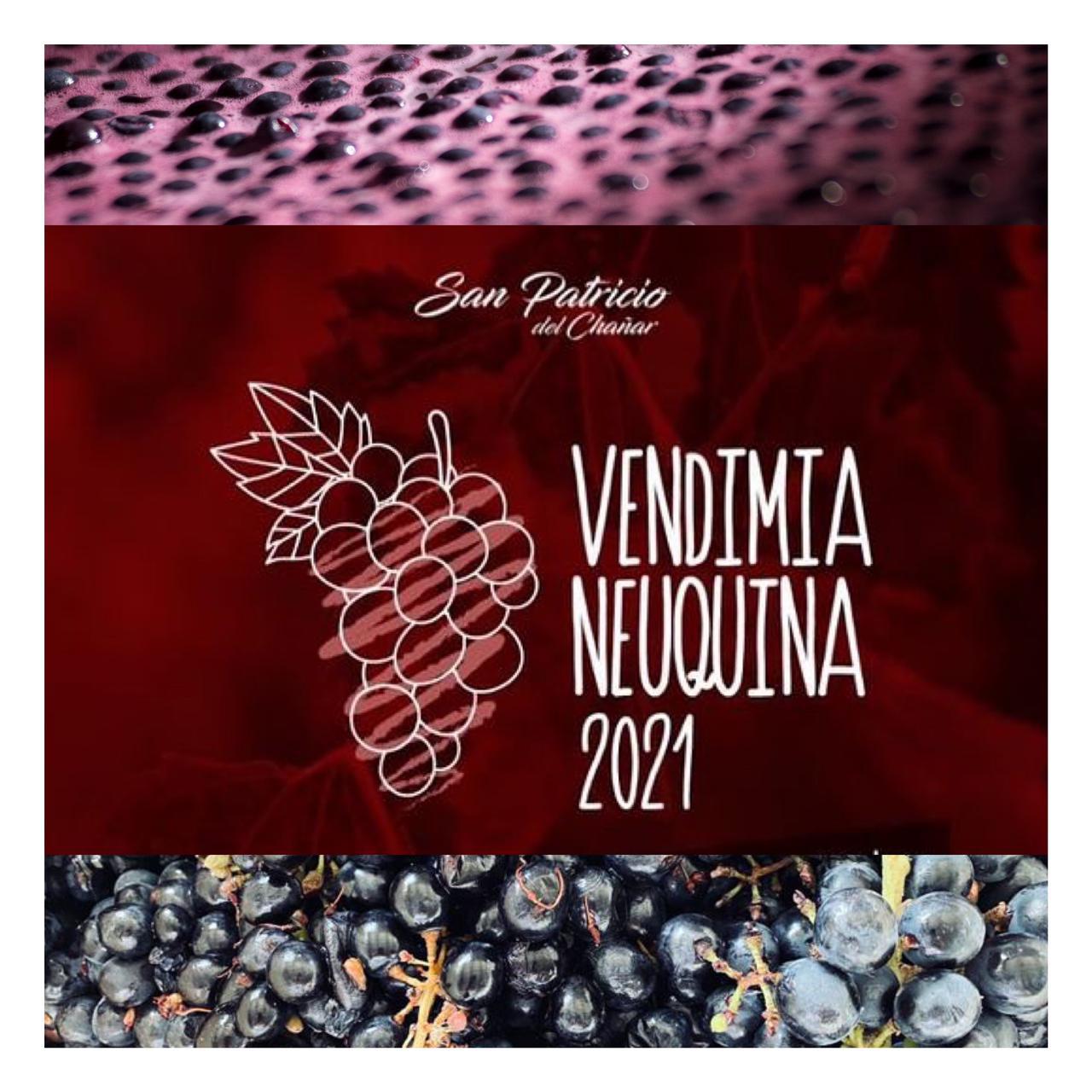 Vendimia Neuquén