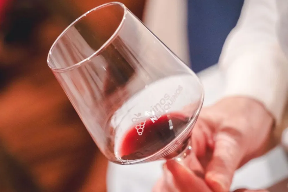 Vinos neuquinos 1