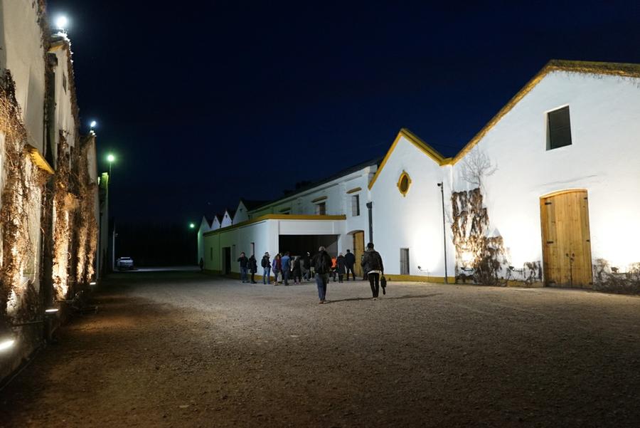 Bodega-Humberto-Canale