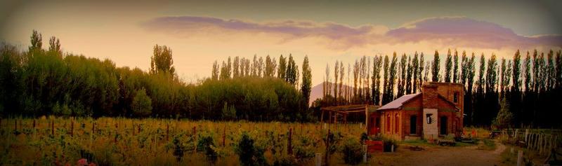 487408_518499981526842_1414977437_n