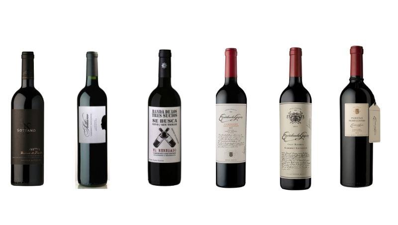 cabernets-suavignon-dia-4-bodegas-10-mza