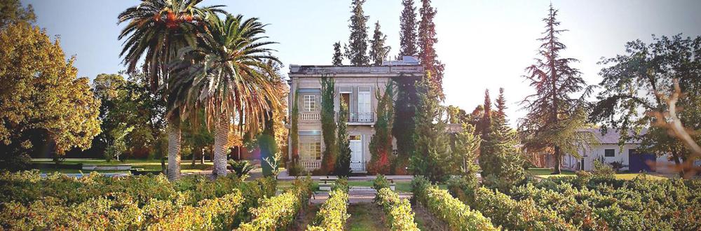 Bodega Luigi Bosca