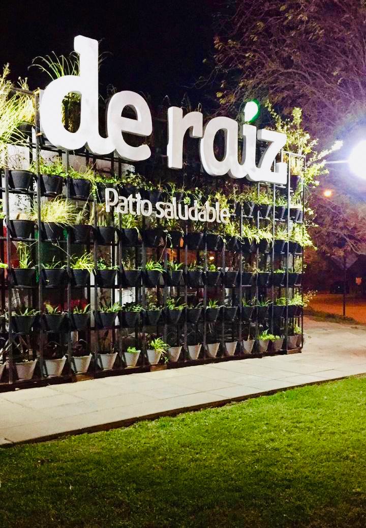 de raíz 19