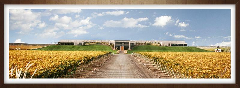 996948_542224605870550_1421468287_n