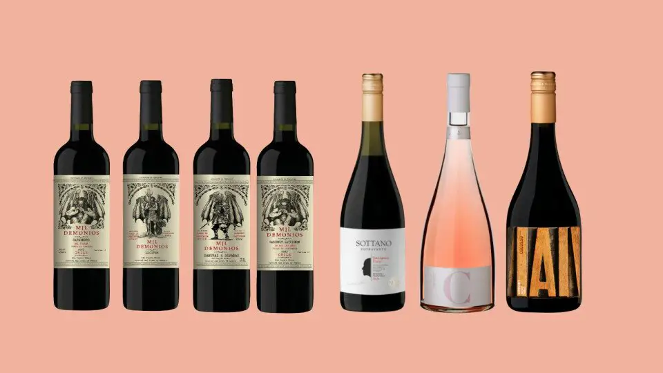 vino.2025-medium-size