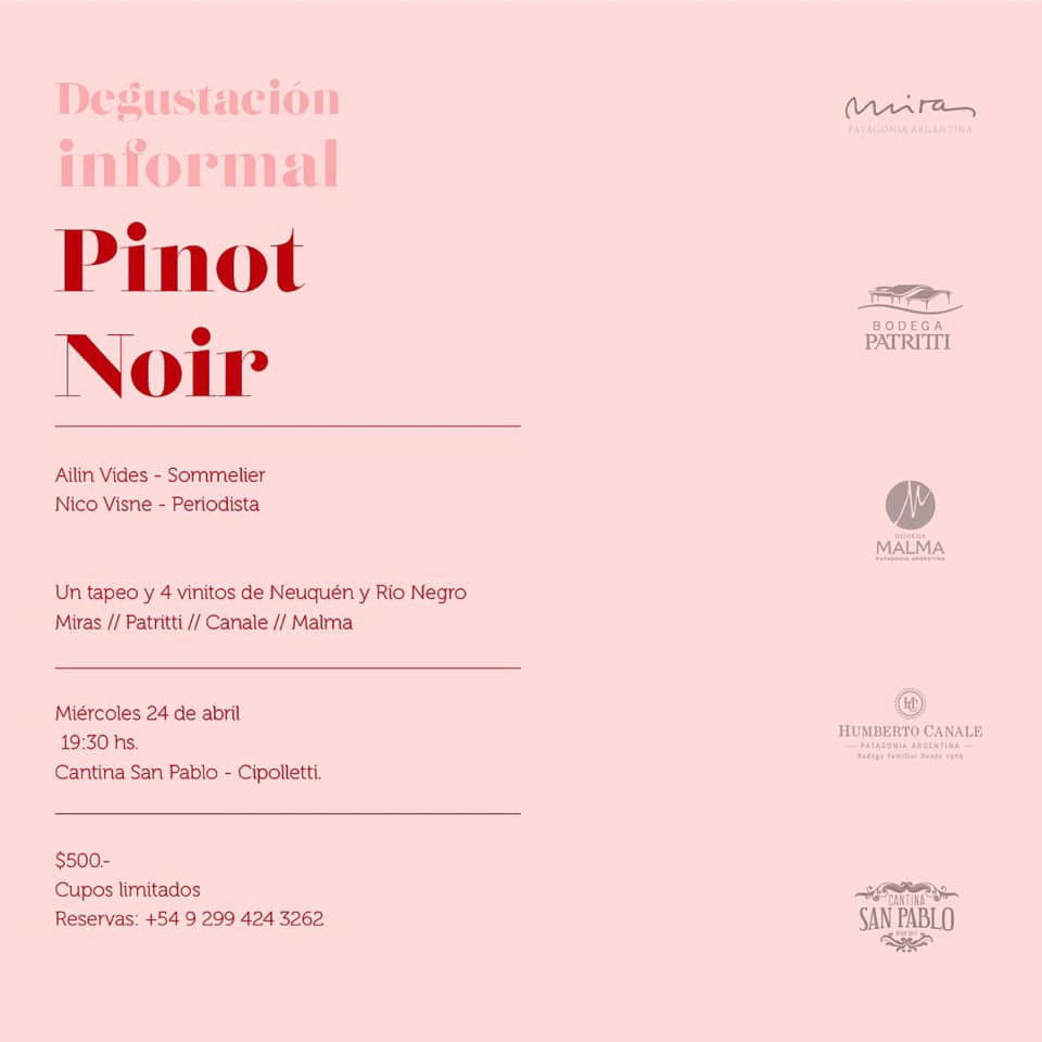 nico visne