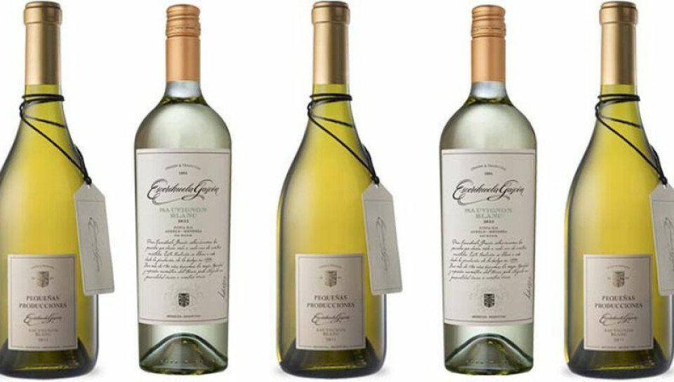 vinos-homenaje-medium-size