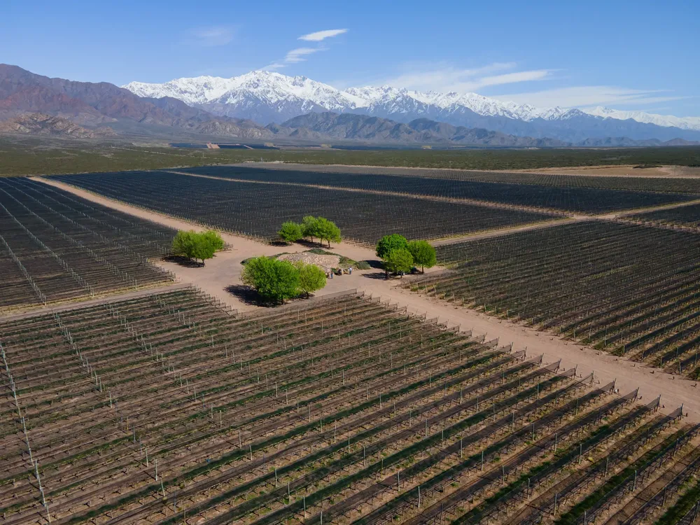 454340024_890889383075450_8165941275657035467_n