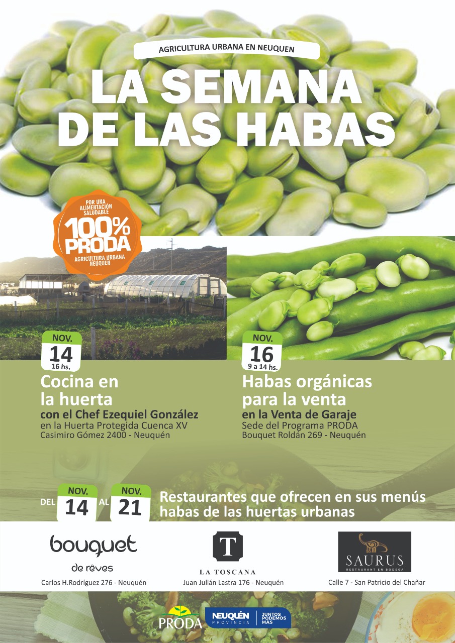 LA SEMANA DE LAS HABAS 1