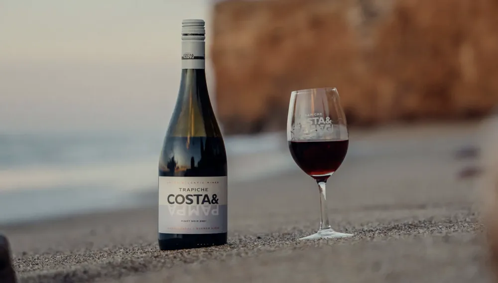 Trapiche Costa y Pampa