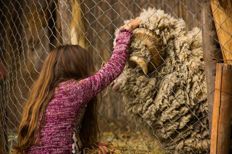 13131670_1720852511523982_1963369352449232067_o