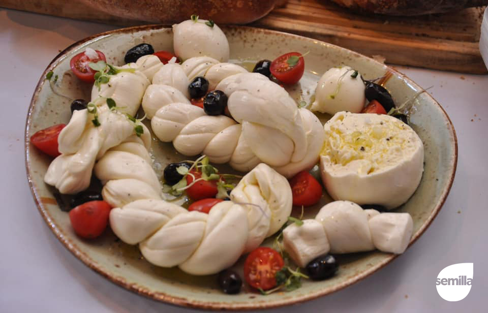 Feria_Semilla_Cipolletti_11