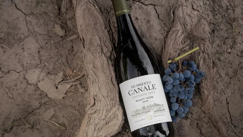 bodega-canale