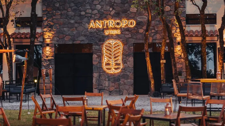 antropo-wines-2jpg