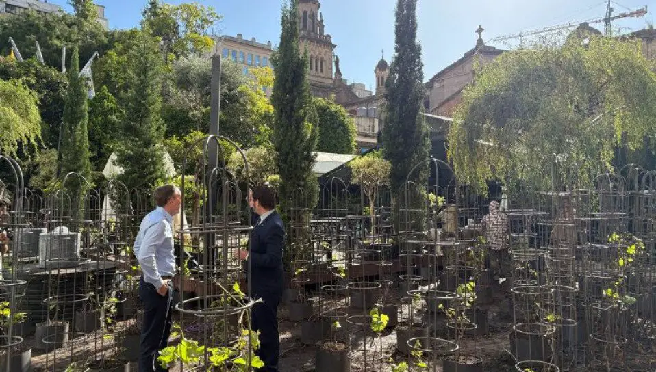 Viñedo urbano