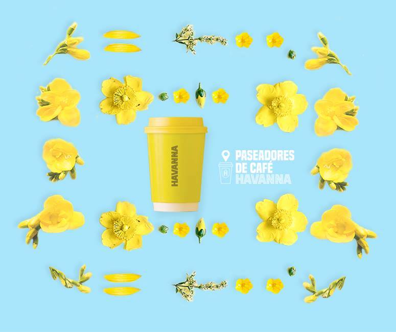 21762106_138578406753454_234996812910468307_n