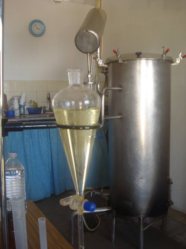 aromáticas 8