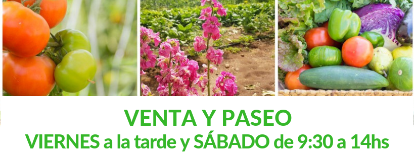 49411197_2231154050493475_5540631627157209088_n