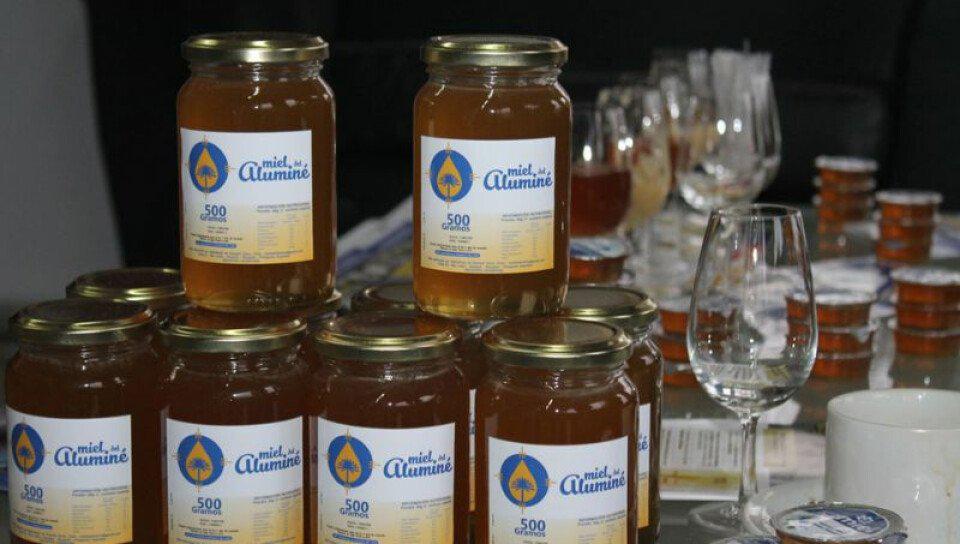 expo-alumiel-patagonia-medium-size