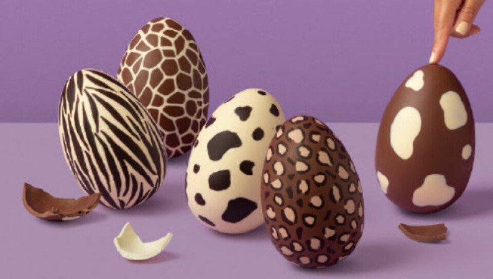 WhatsApp Image 2023-04-04 at 20.09.28 (1)