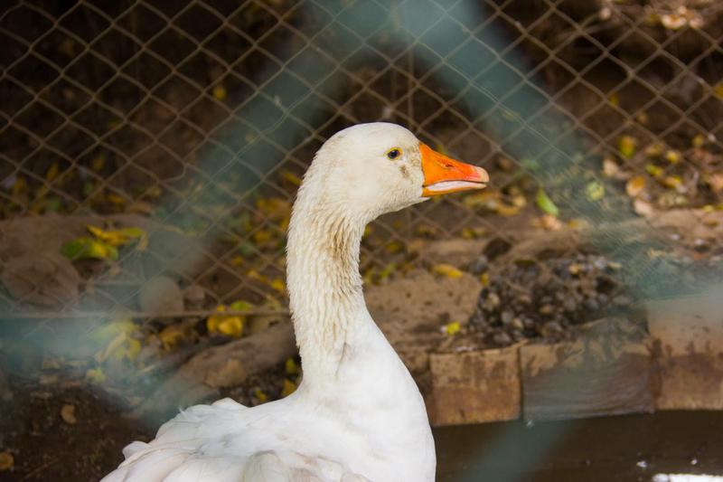 13119832_1720851691524064_5181680712108040074_o