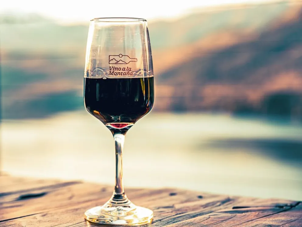 Vino a la montaña 1