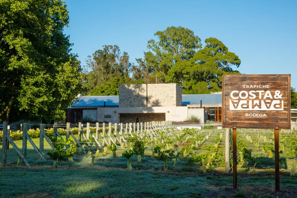 Bodega Costa & Pampa (1) (1)