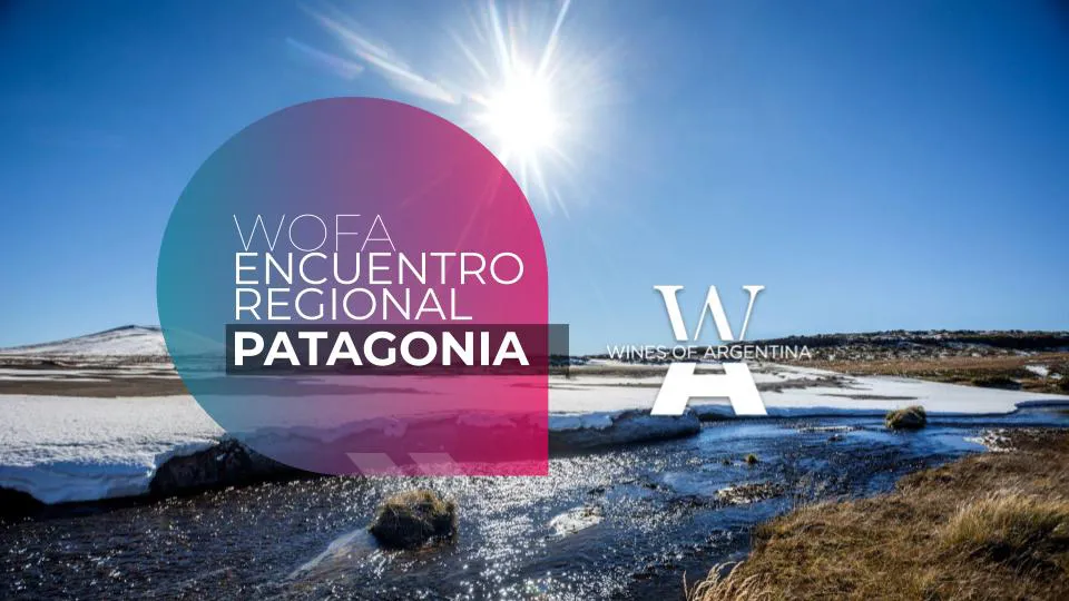 WofA - Encuentro Regional Patagonia