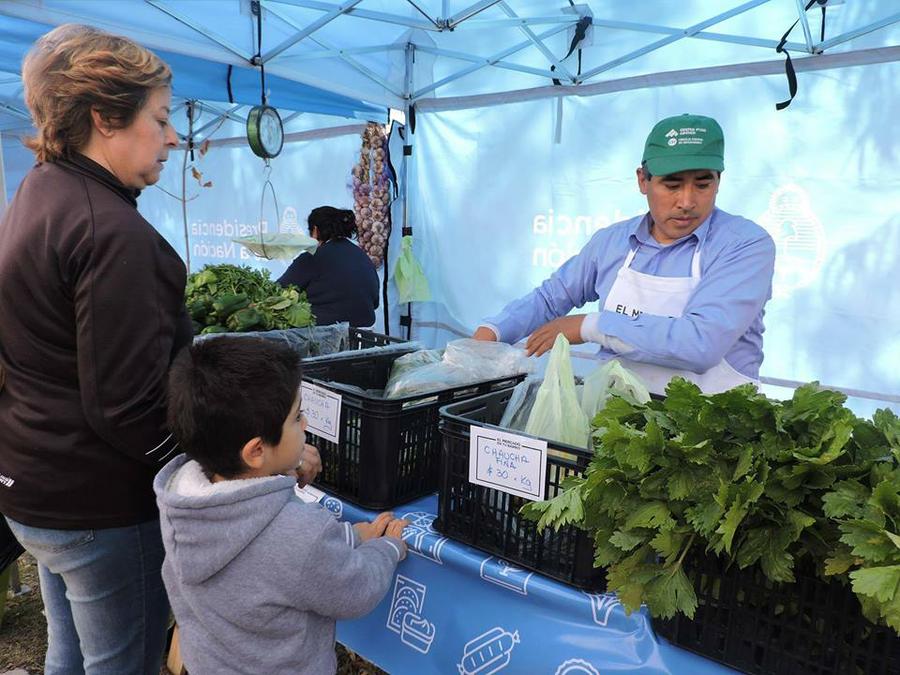 21767908_1590459244340039_8341934364575345830_n