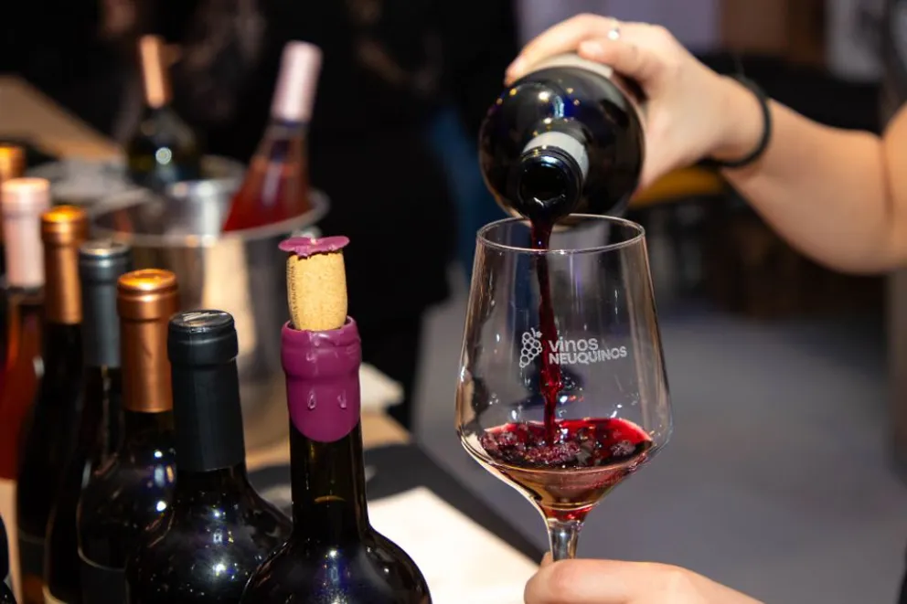 Vinos Neuquinos 4
